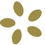 flower 2v-11